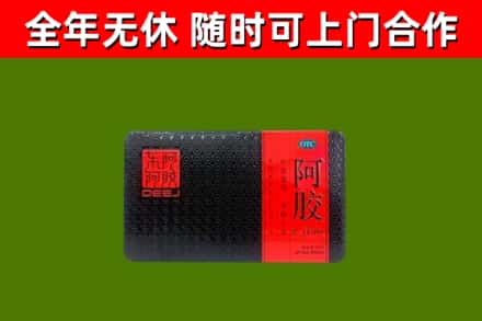 永定区回收阿胶