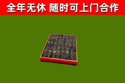 永定区回收海参